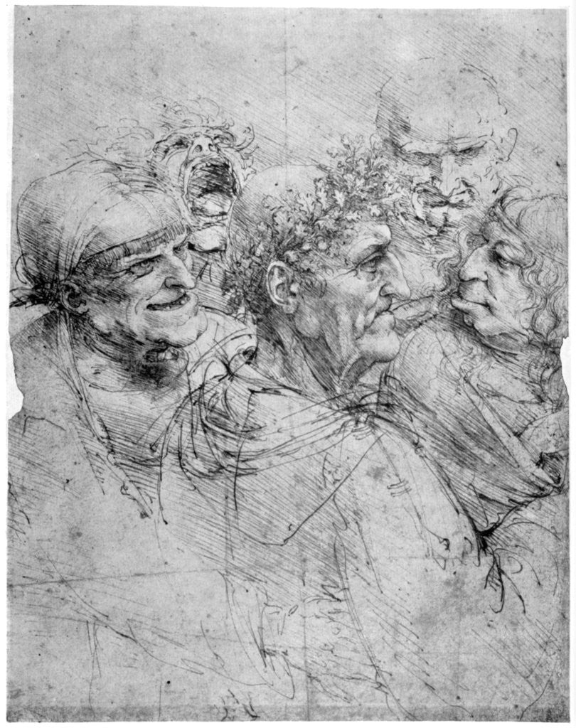 Detail of Study of five grotesque heads by Leonardo Da Vinci