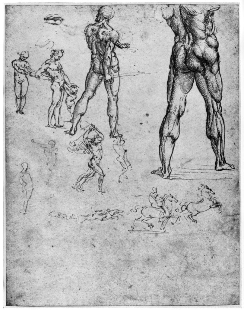 Detail of Nude studies for 'The Battle of Anghiari' by Leonardo Da Vinci