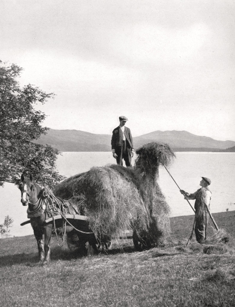 Detail of Loading hay onto a wagon on the shores of Loch Lomond, Scotland by Donald McLeish