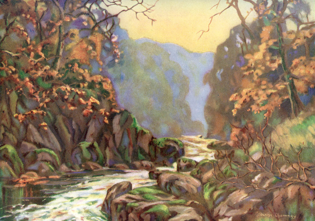 Detail of 'On the Dargle, County Wicklow', Ireland by Catharine Chamney