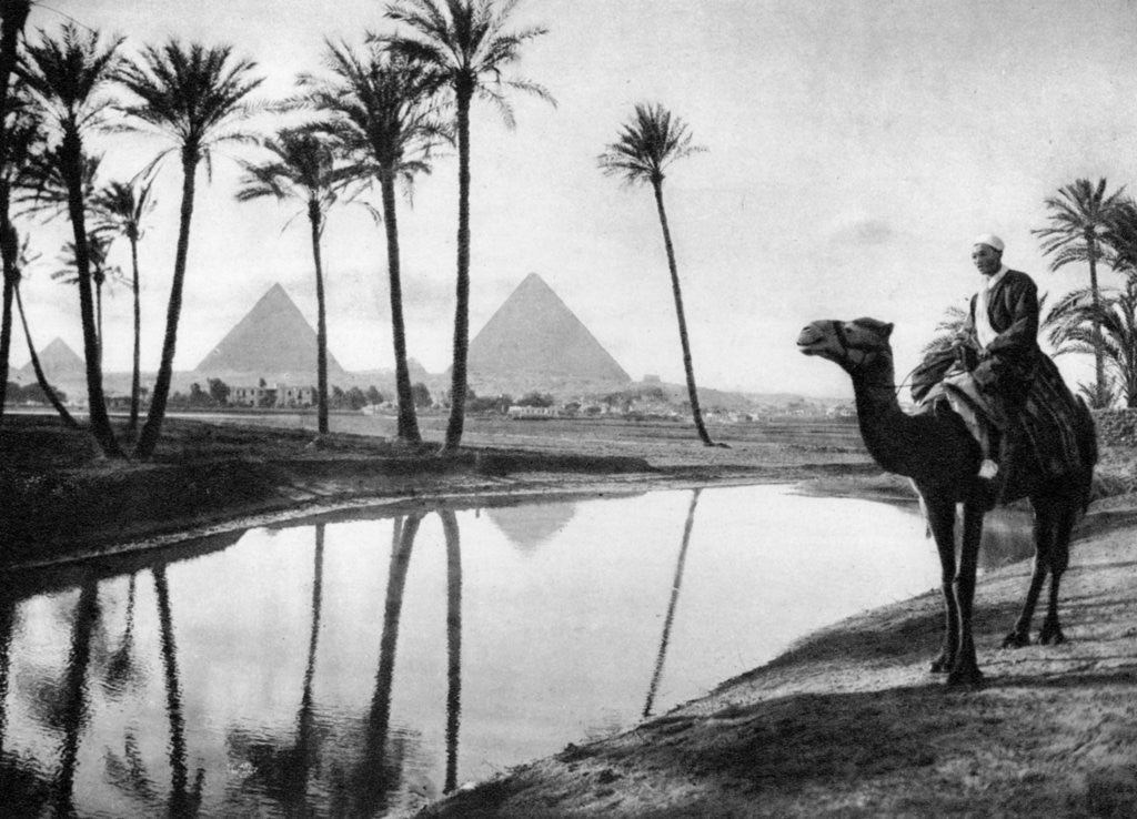 Detail of An oasis near Cairo, Egypt by Anonymous