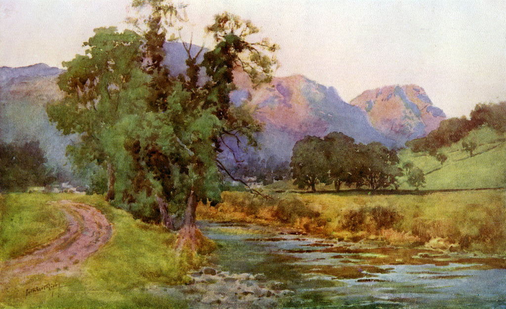 Detail of Yewdale Crags, Coniston, Cumbria by Cuthbert Rigby
