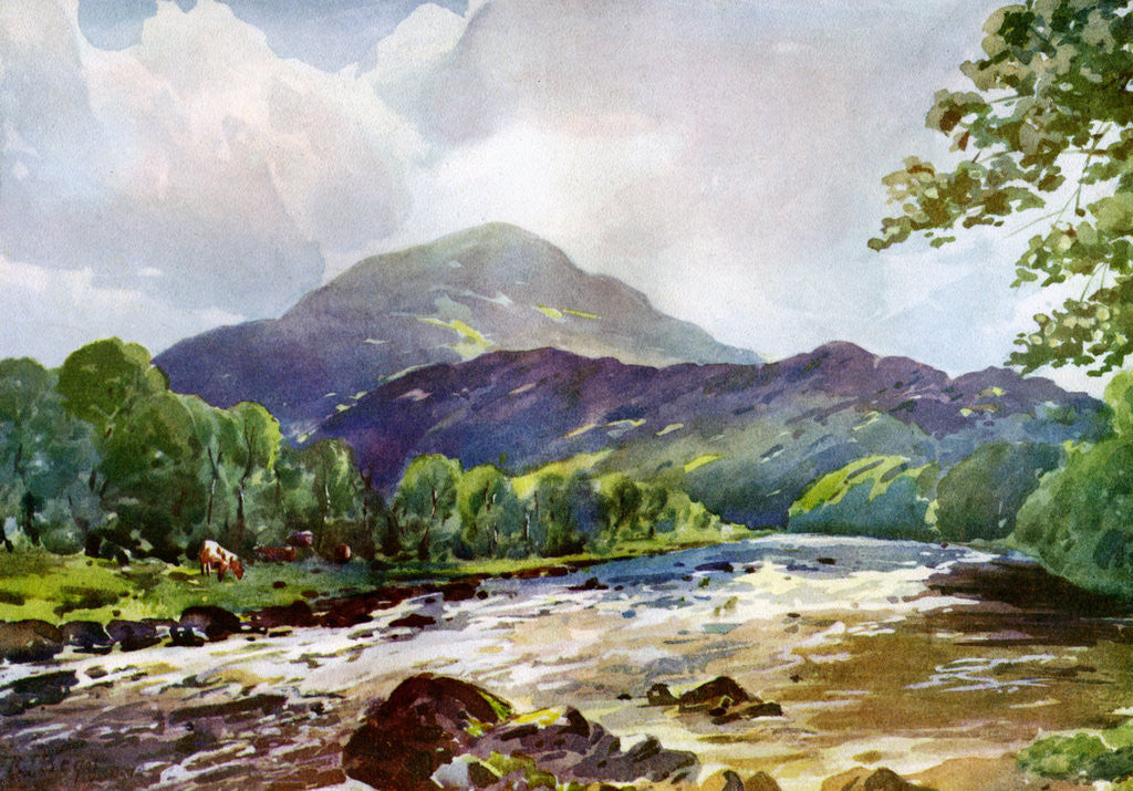 Detail of On the Teith near Callander, Perthshire by RJ Begg
