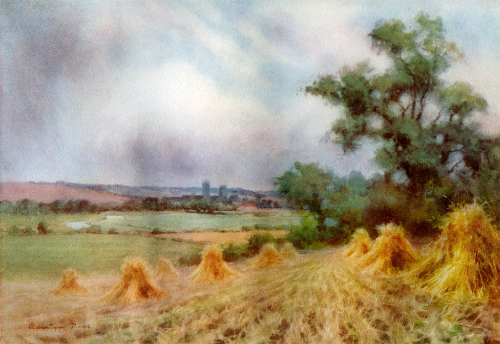 Detail of Canterbury from Sturry Wood, Kent by A Montague Rivers