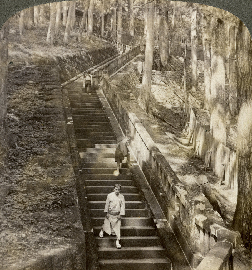 Detail of Ancient stone stairway up the hill to the tomb of Shogun Ieyasu, Nikko, Japan by Underwood & Underwood