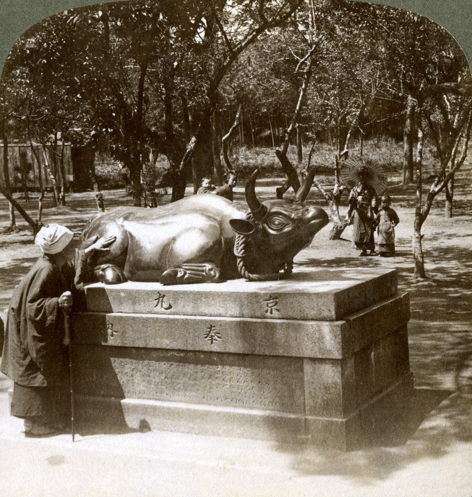 Detail of Devout woman stroking a bronze bull to cure rheumatism, Kitano Tenjin temple, Kyoto, Japan by Underwood & Underwood