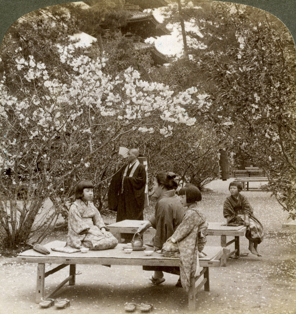 Detail of A family enjoying a picnic under the cherry blossoms, Omuro Gosho, Kyoto, Japan by Underwood & Underwood