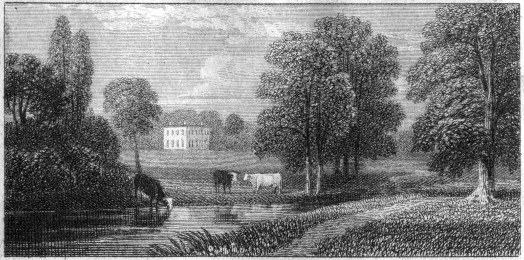 Detail of Coley Park, Berkshire by Anonymous