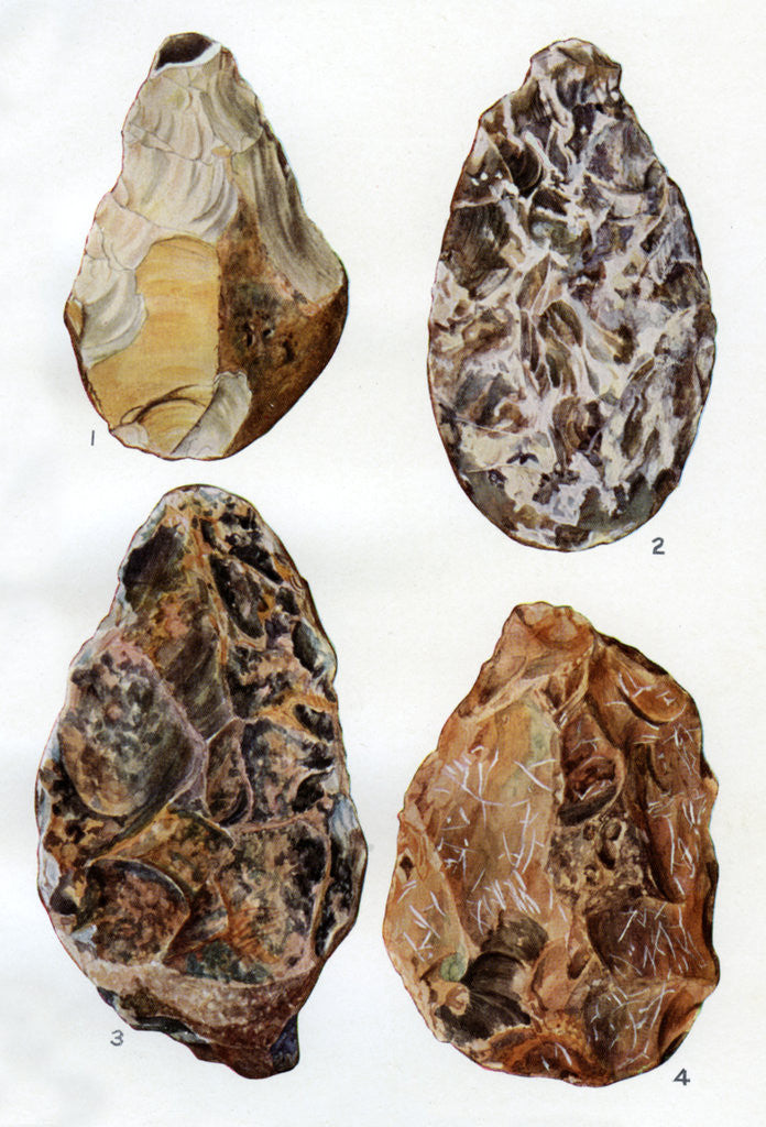 Detail of Specimens of patination in Britain by Anonymous