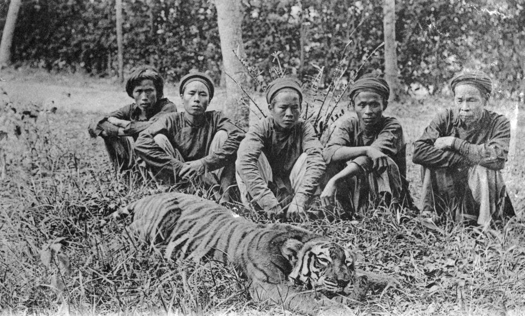 Detail of Tiger hunters, Tonkin, Vietnam by Anonymous