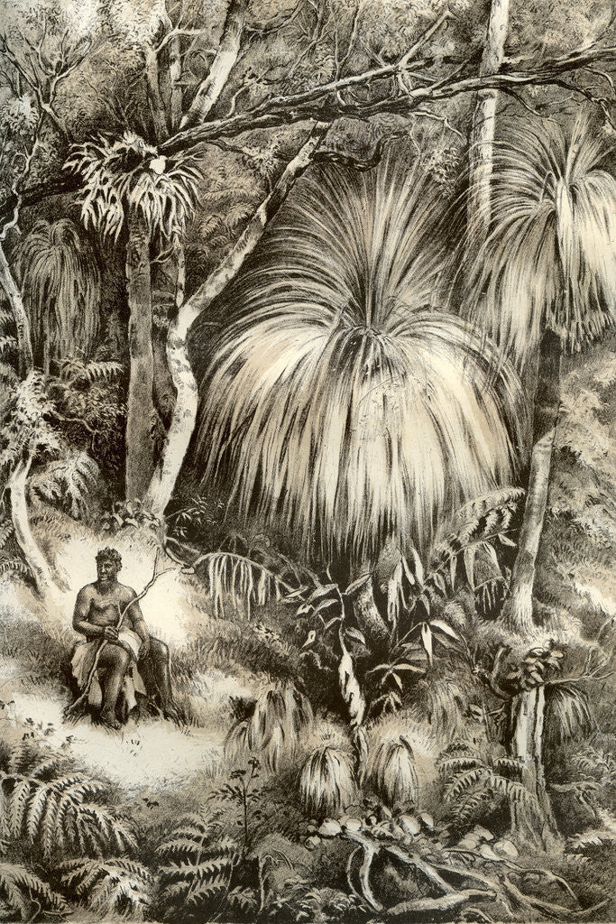 Detail of Tasmanian forest scene by McFarlane and Erskine