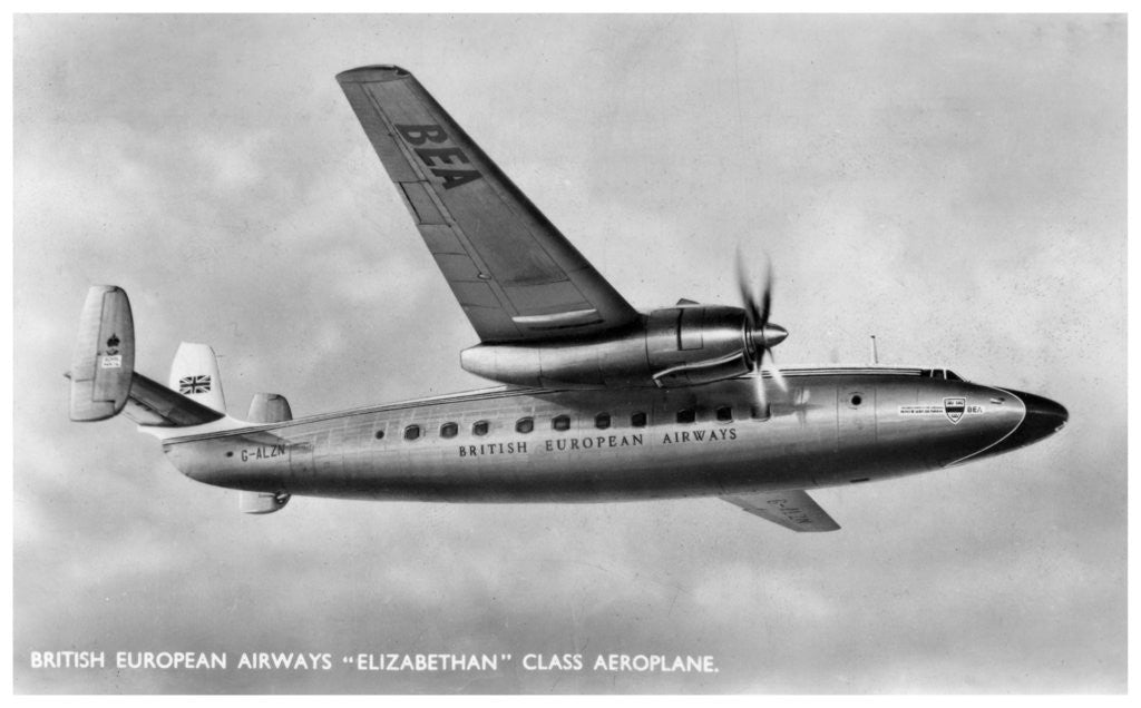 Detail of British European Airways 'Elizabethan' class aeroplane by Anonymous