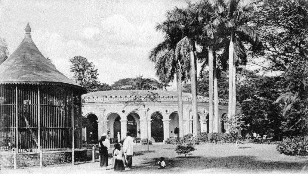 Detail of View in the Zoological Gardens, Calcutta, India by Anonymous