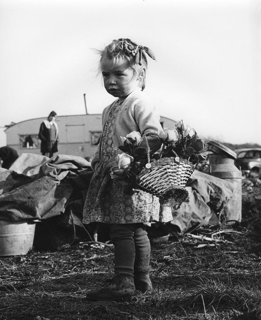 Detail of Gypsy girl, 1960s by Tony Boxall