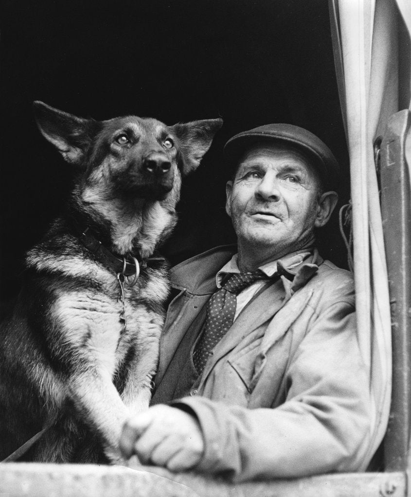 Detail of Gypsy man with dog, 1960s by Tony Boxall