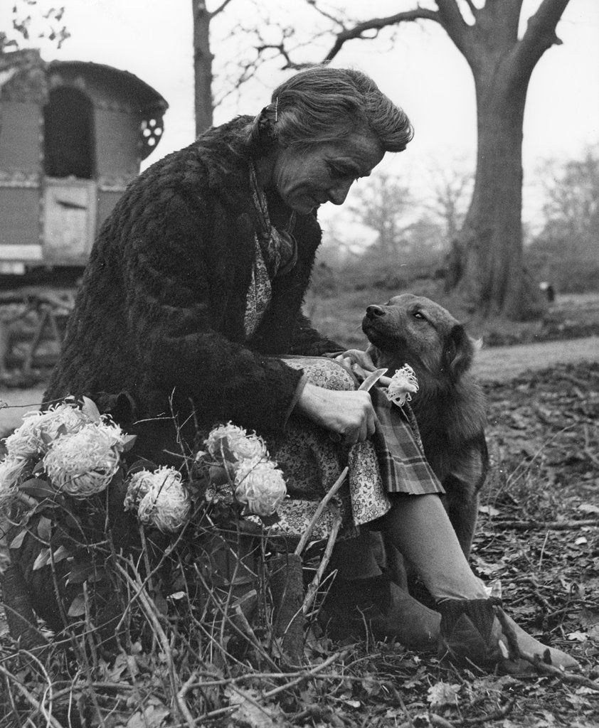 Detail of Gypsy woman with dog, 1960s by Tony Boxall