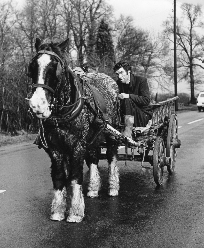 Detail of Gypsy man with horse and cart, 1960s by Tony Boxall