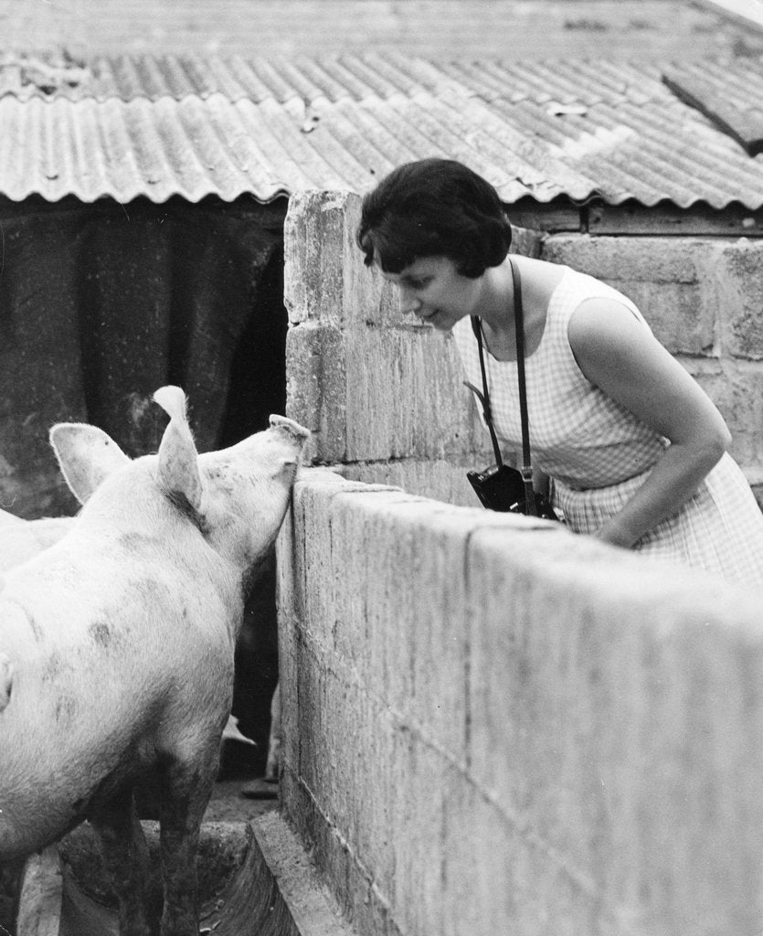 Detail of Woman and pig, 1960s by Tony Boxall