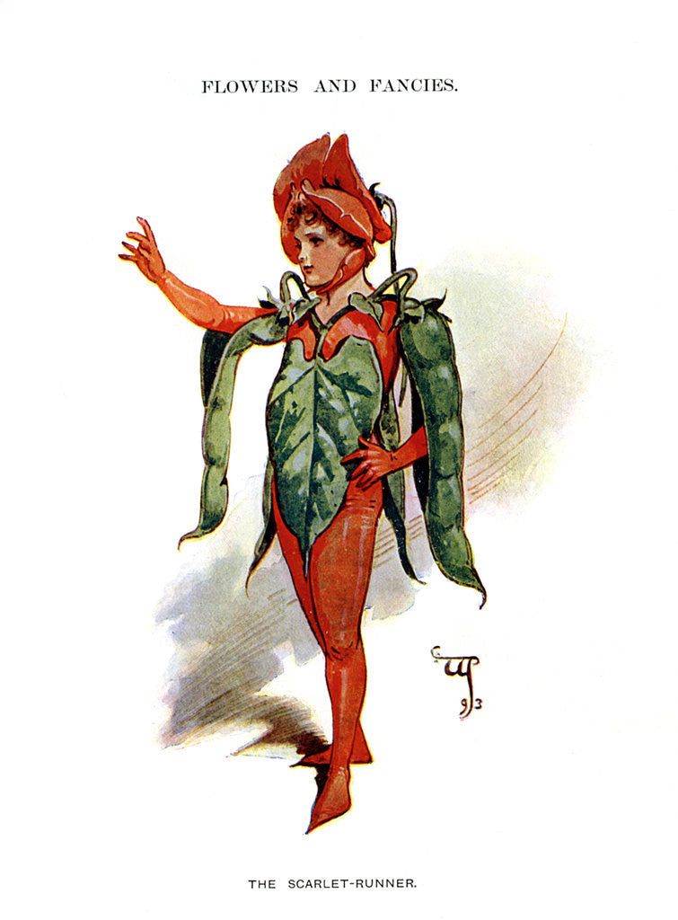 Detail of The Scarlet Runner by Anonymous