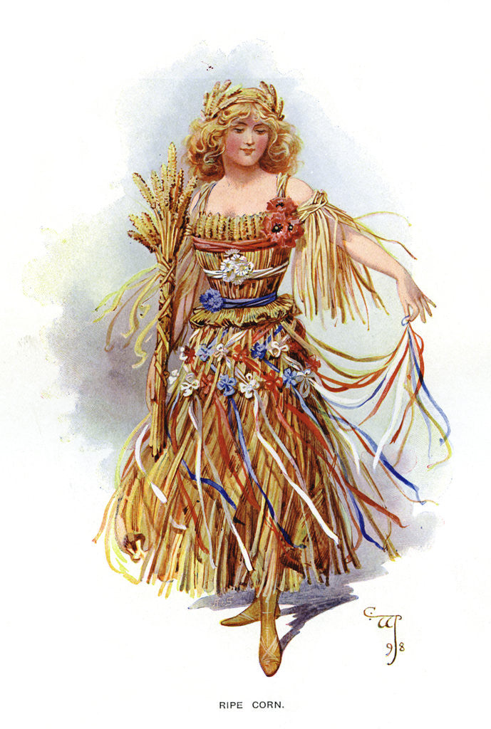 Detail of Ripe Corn by Anonymous