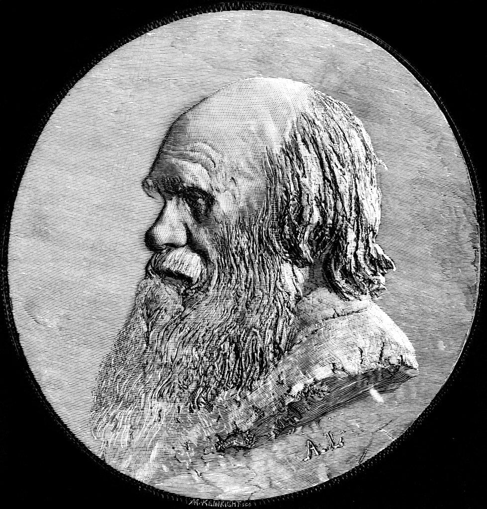 Detail of Charles Darwin by Anonymous