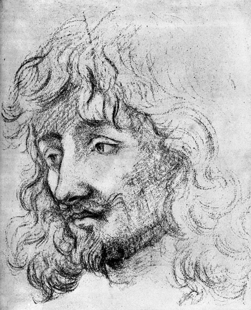 Detail of Study of a Head by Anonymous