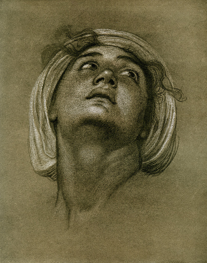 Detail of Study of a head by Anonymous
