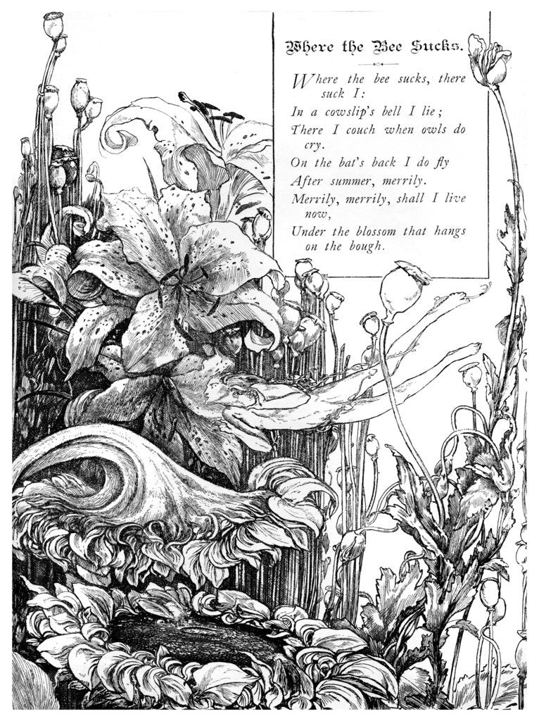 Detail of Where the Bee Sucks by Anonymous