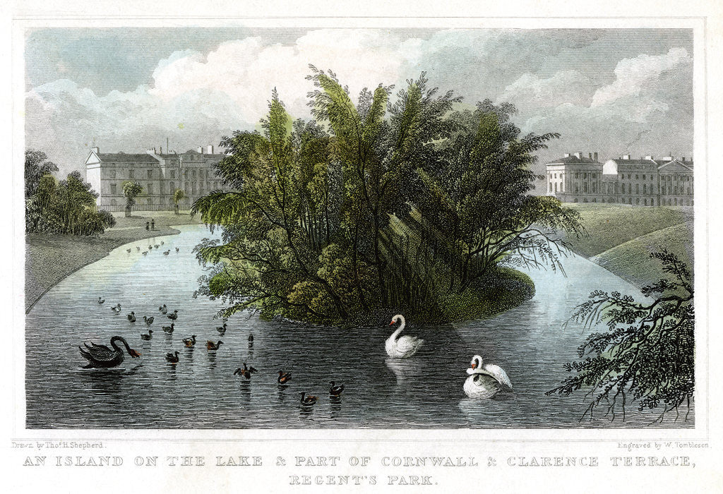 Detail of Island on the lake and Part of Cornwall and Clarence Terraces, Regent's Park, London by William Tombleson