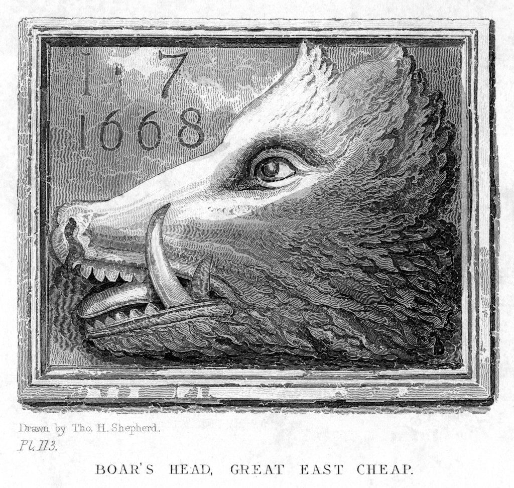 Detail of Inn sign from the Boar's Head Tavern, Eastcheap, London by J Tingle