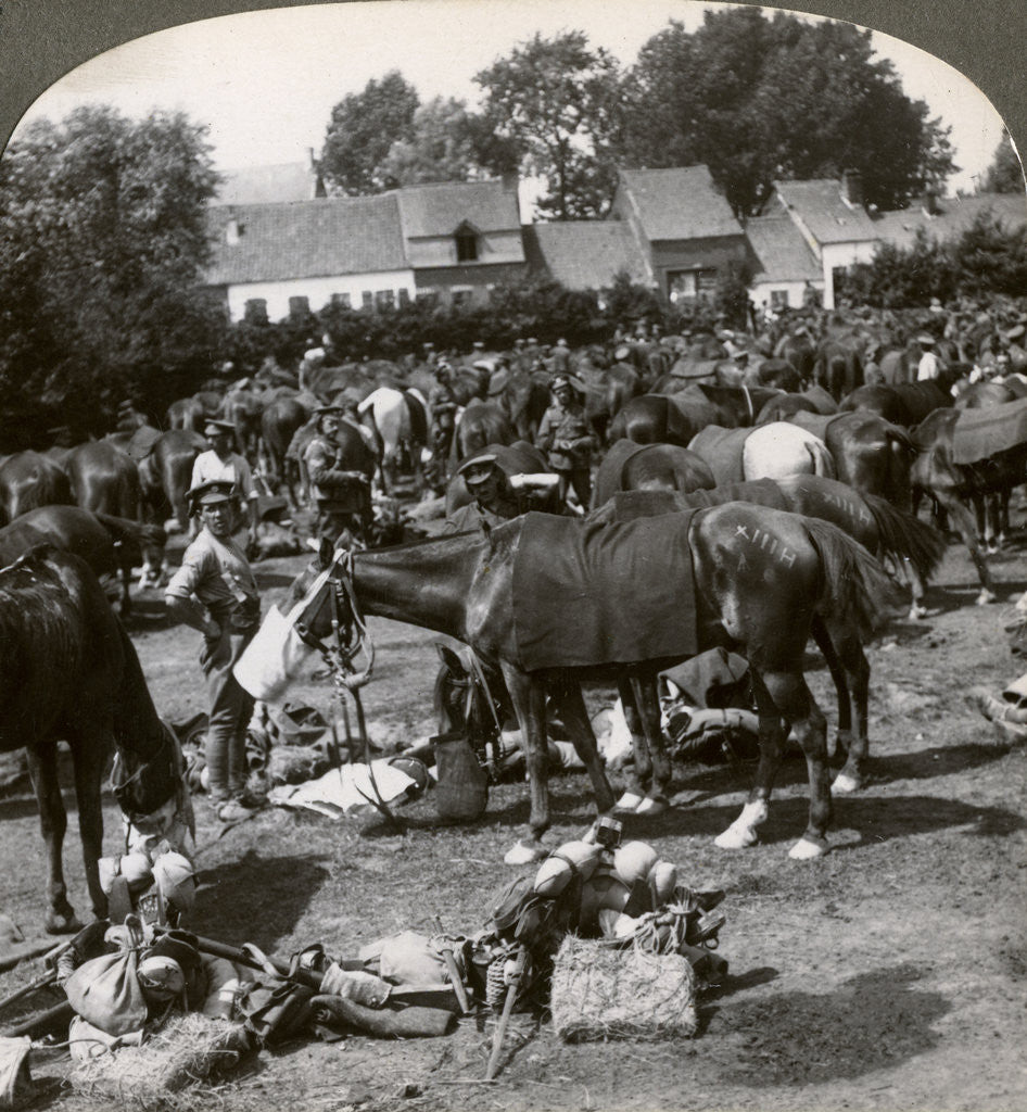Detail of Troops feeding their horses and resting on the march, World War I by Realistic Travels Publishers