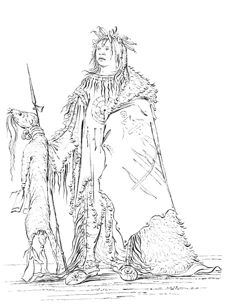 Detail of Portrait of 'Iron Horn', Native American man by Myers and Co