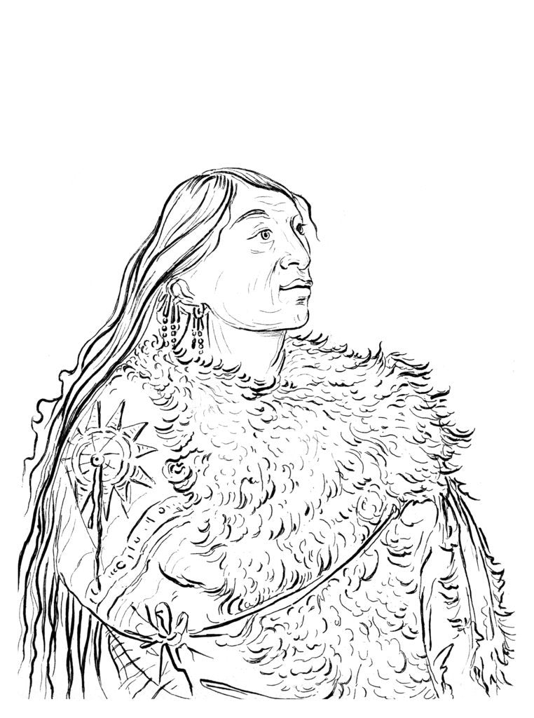Detail of Portrait of a Native American man by Myers and Co