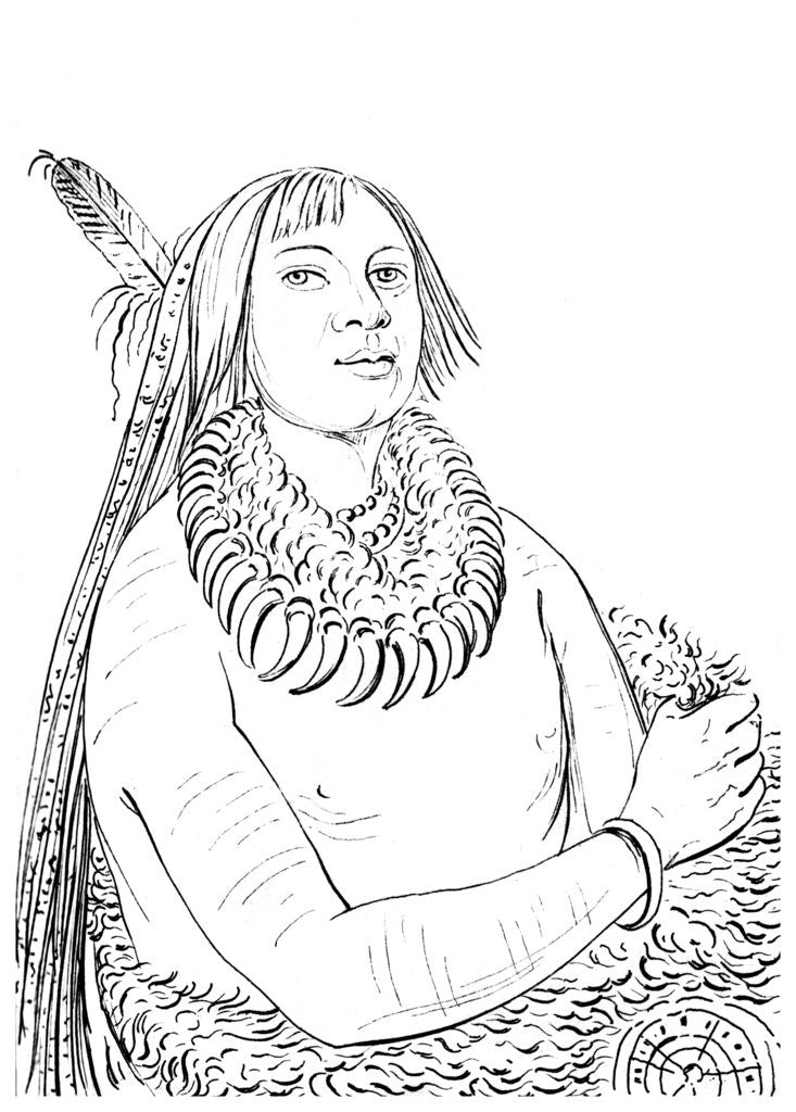 Detail of Portrait of 'He Who Rushes Through the Middle', Native American man by Myers and Co
