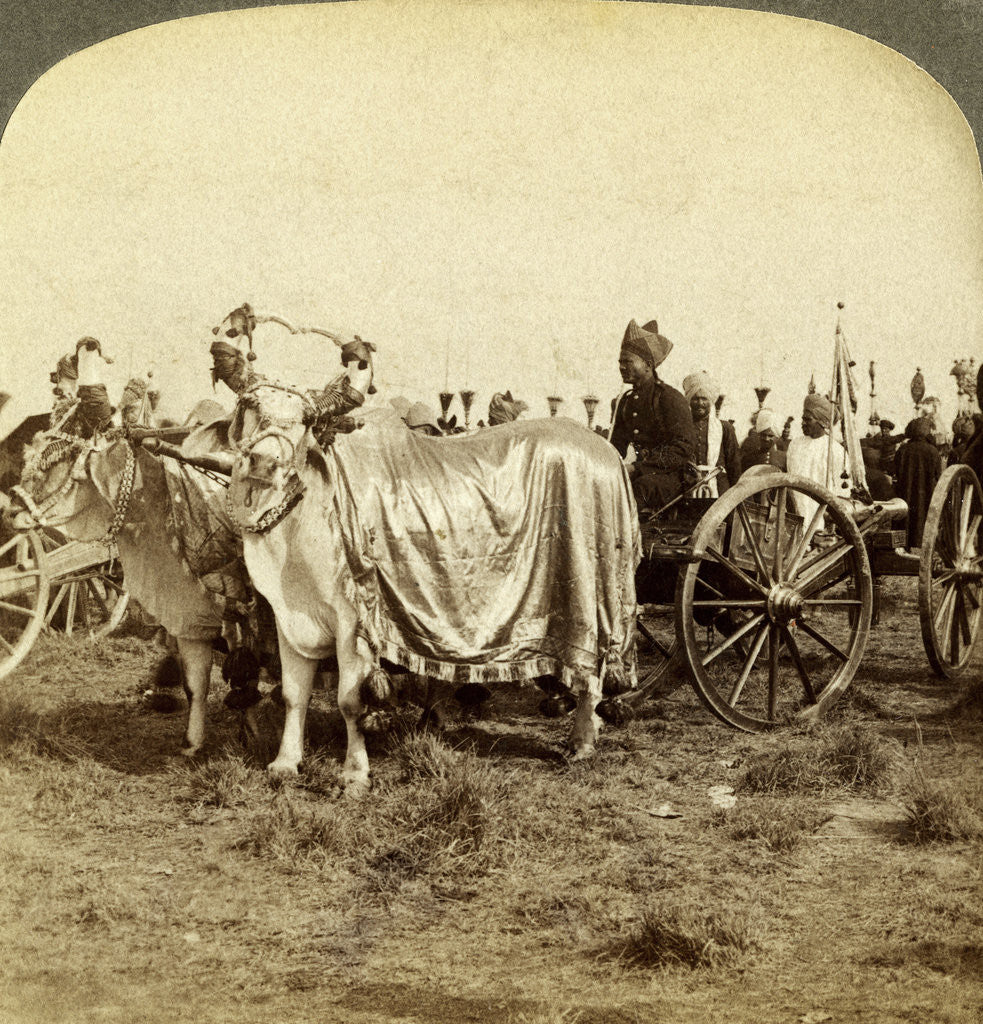 Detail of Silver cannon of the Maharaja of Baroda, Delhi, India by Underwood & Underwood