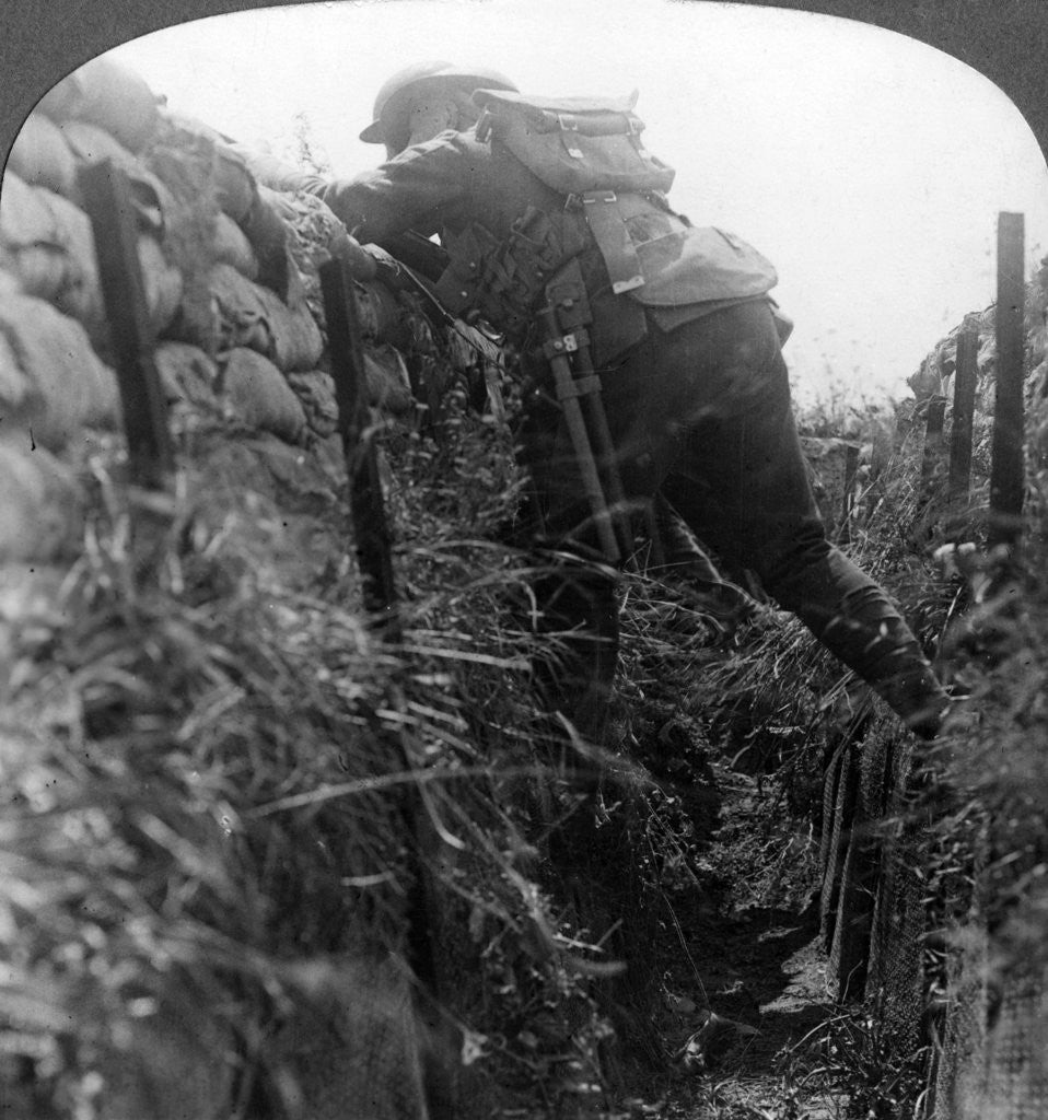 Detail of Canadian infantry in the trenches, World War I by Realistic Travels Publishers