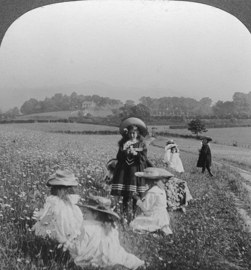 Detail of Children in a meadow, Keswick, Cumbria by Excelsior Stereoscopic Tours