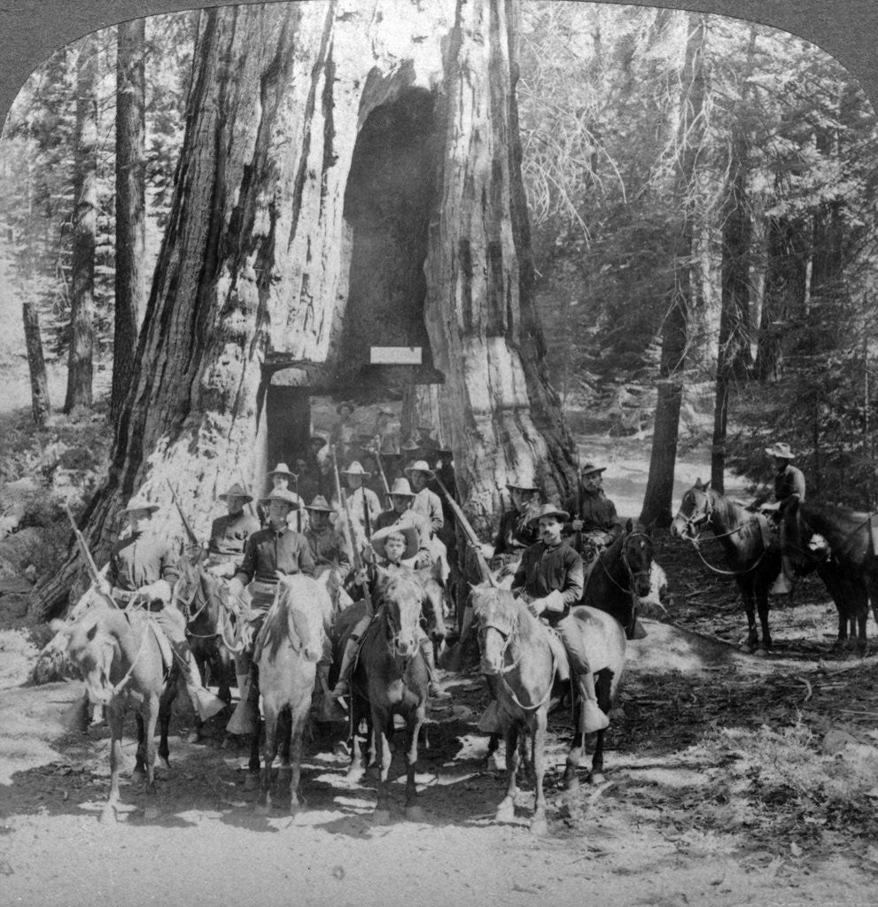 Detail of Cavalry passing through the great tree 'California', California, USA by Underwood & Underwood