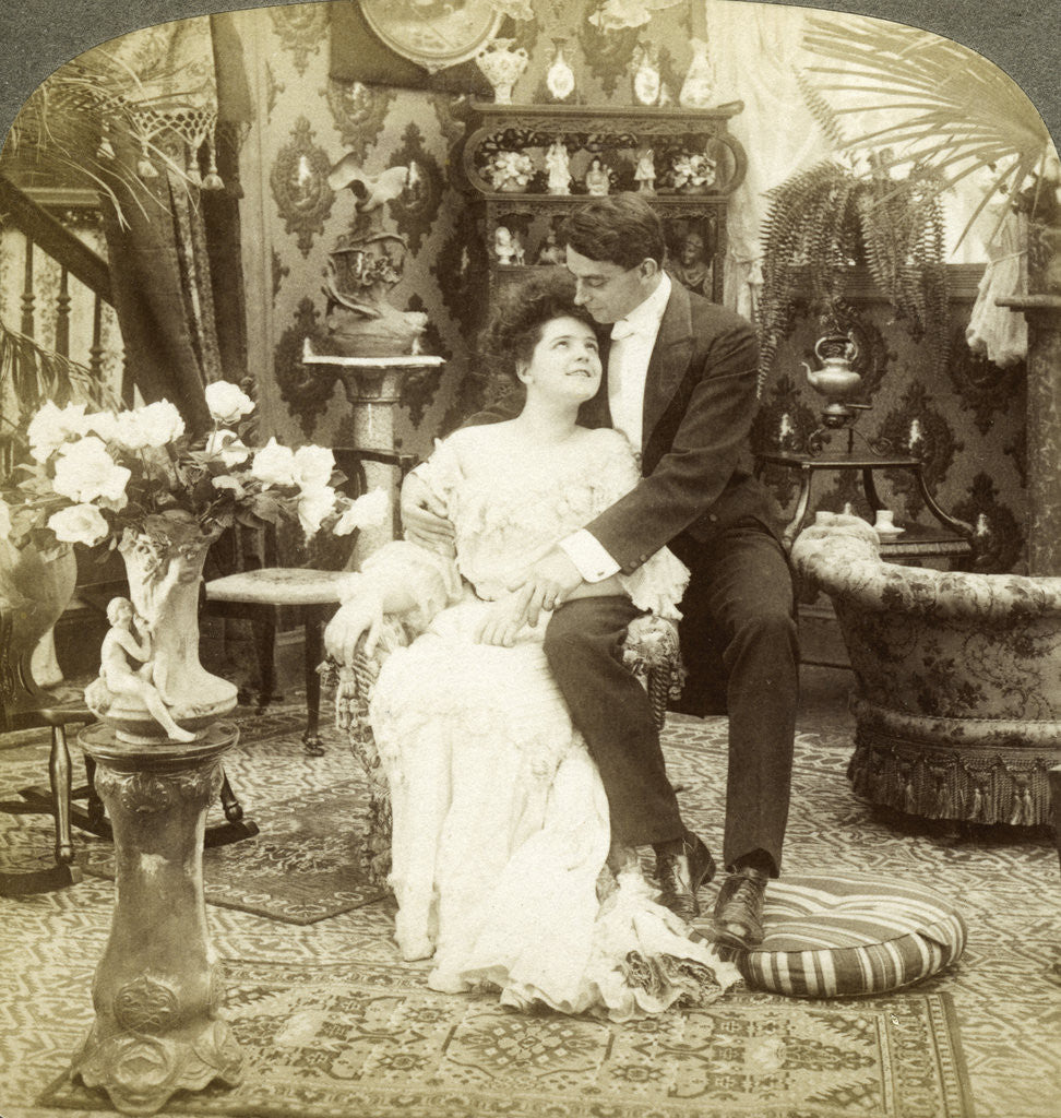 Detail of 'George Greatly Admires Ethel's Beautiful Complexion' by Underwood & Underwood