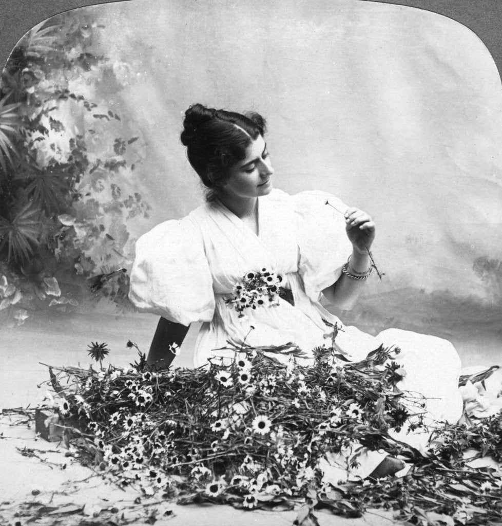 Detail of Tell Me Daisy Does He Love Me? by American Stereoscopic Company