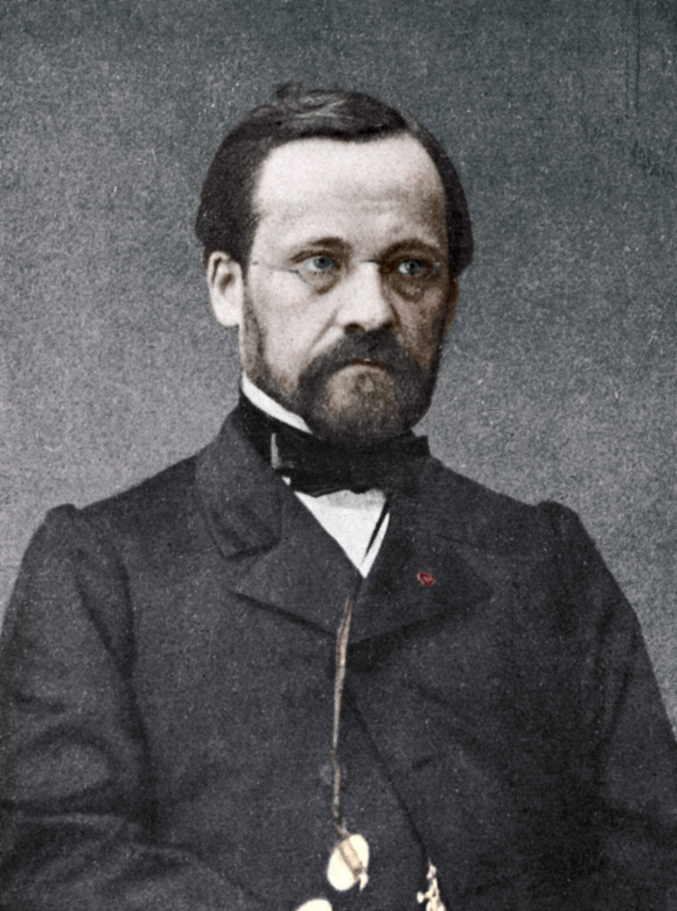 Detail of Louis Pasteur, French microbiologist and chemist by Anonymous
