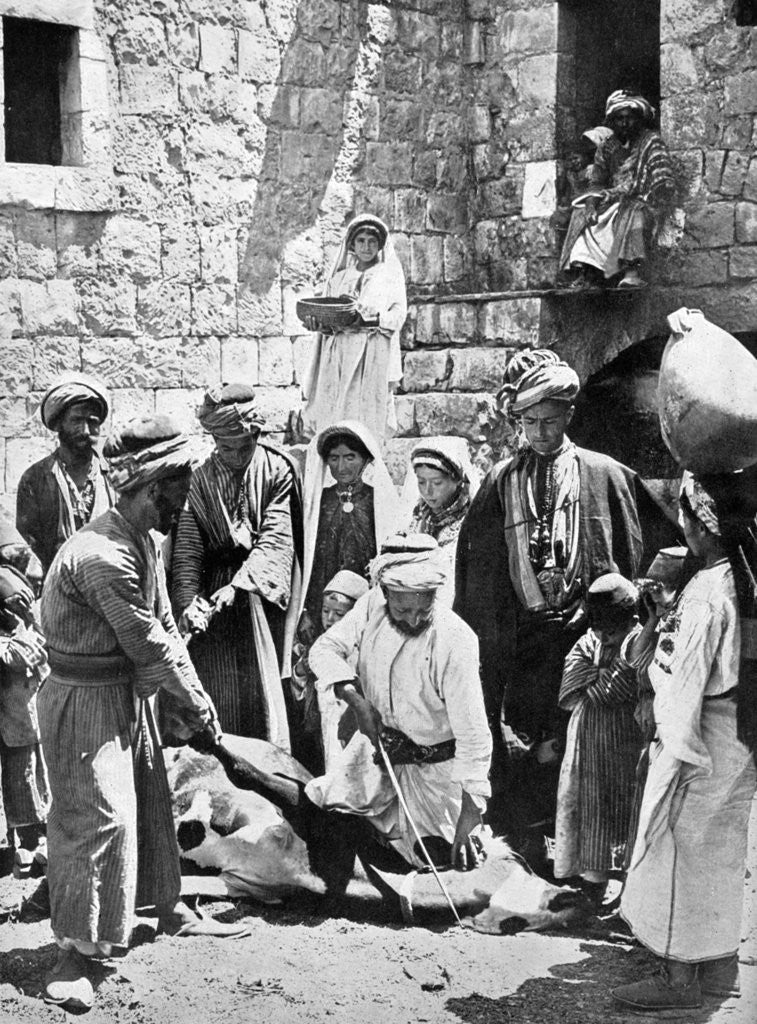 Detail of Killing the fatted calf by Underwood & Underwood