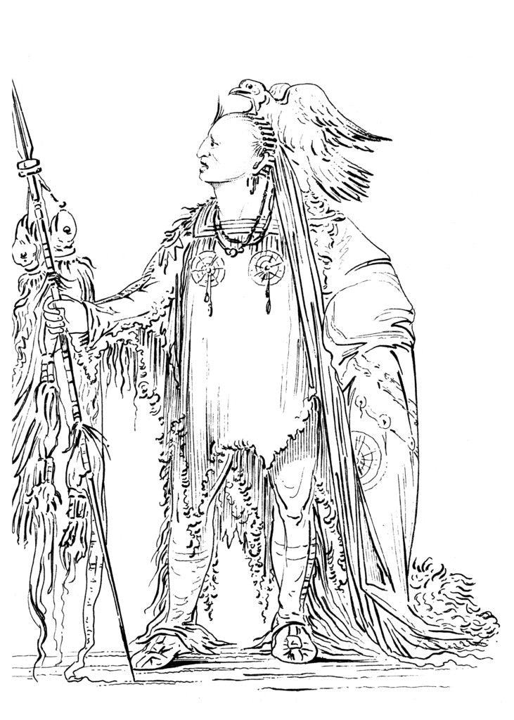 Detail of 'He Who Ties His Hair Before', Native American Male of the Minataree tribe by Myers and Co