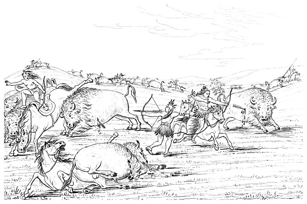 Detail of Native Americans hunting buffalo by Myers and Co