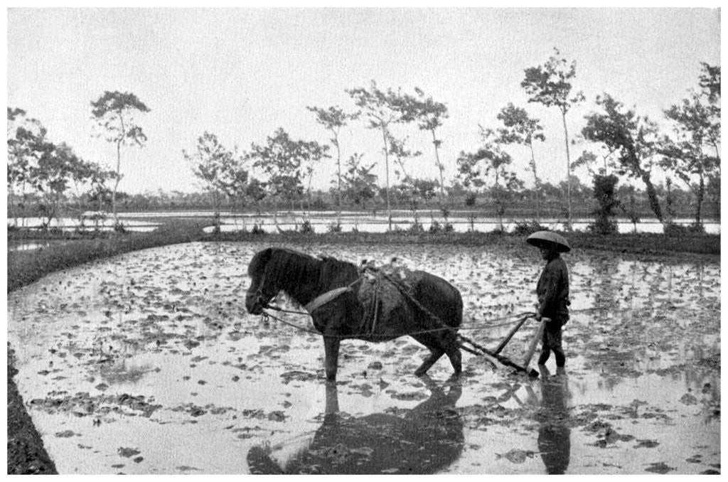 Detail of Raking a rice field, Japan by Anonymous