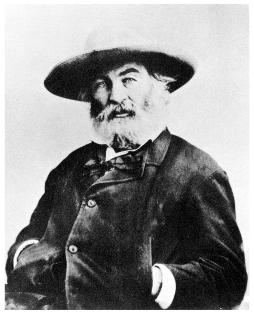Detail of Walt Whitman, American poet by Anonymous