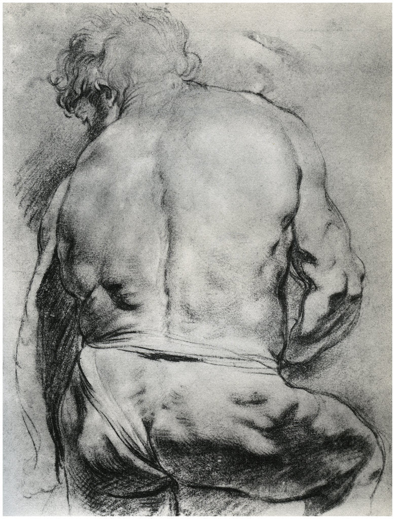 Detail of The Back of a Nude Man by Anonymous