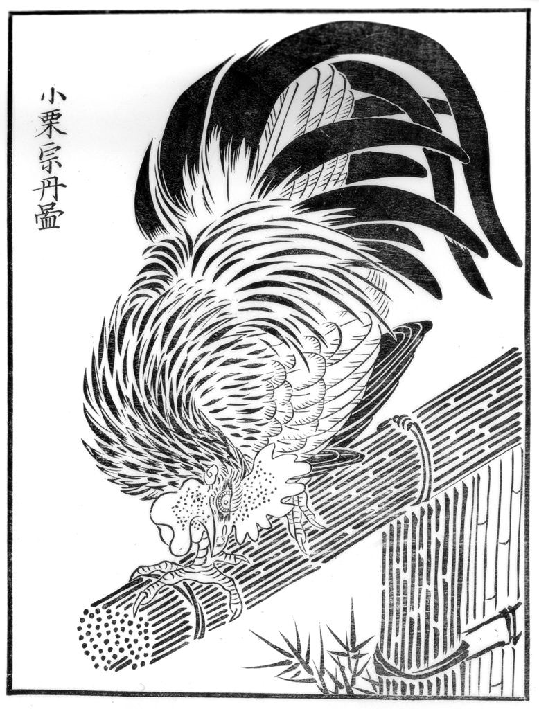 Detail of Cock by Anonymous