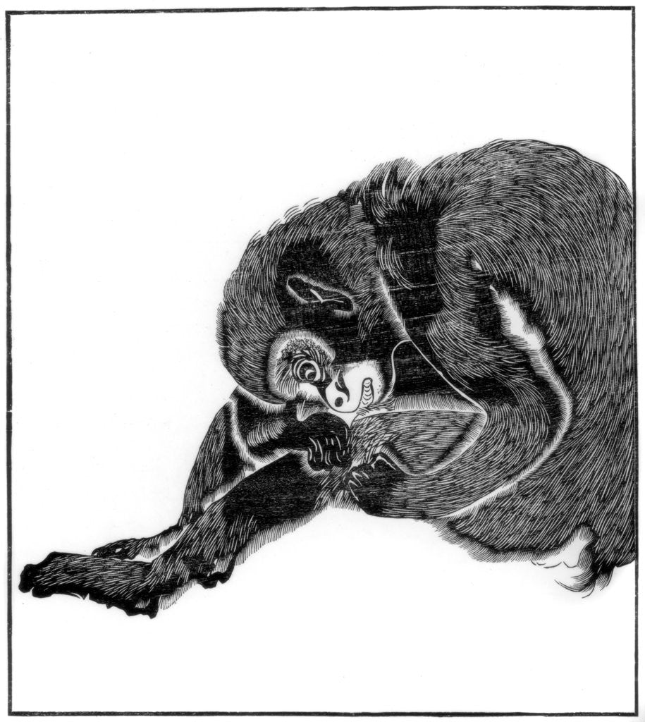 Detail of Monkey by Anonymous