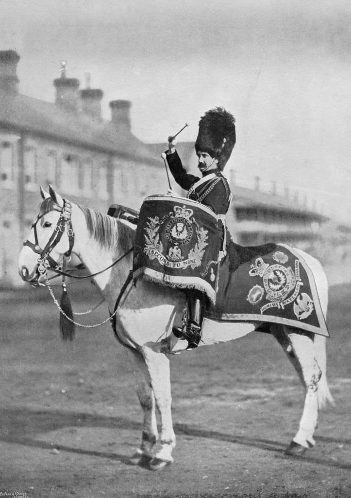 Detail of 'Plum Duff', the drum-horse of the Royal Scots Greys by Gregory & Co